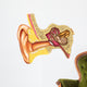 Ear anatomy Wall Decal