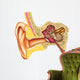 Ear anatomy Wall Decal
