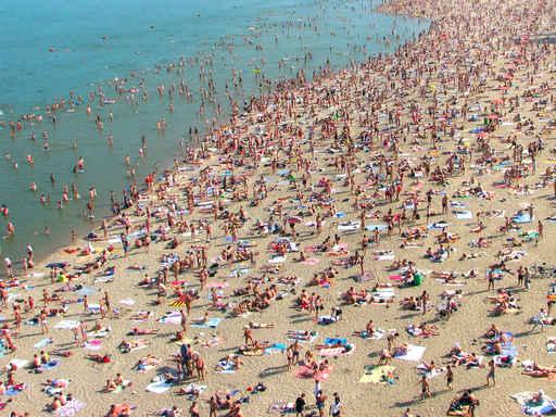Beach with Many Peoples Wall Decal