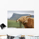 highland cow Wall Mural