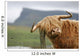 highland cow Wall Mural