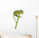 Chameleon on a Bamboo Wall Decal