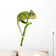 Chameleon on a Bamboo Wall Decal