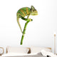 Chameleon on a Bamboo Wall Decal
