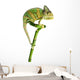 Chameleon on a Bamboo Wall Decal