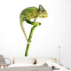 Chameleon on a Bamboo Wall Decal
