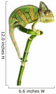 Chameleon on a Bamboo Wall Decal