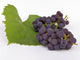 Grape Wall Decal