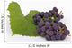 Grape Wall Decal