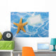 Starfish Border Wall Mural