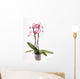 Orchid Wall Mural