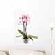 Orchid Wall Mural