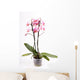 Orchid Wall Mural