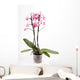 Orchid Wall Mural
