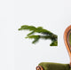 Gazka Twig Wall Decal