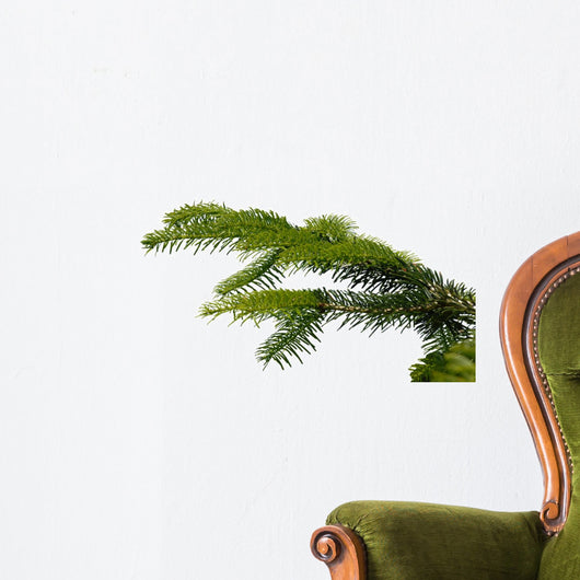 Gazka Twig Wall Decal