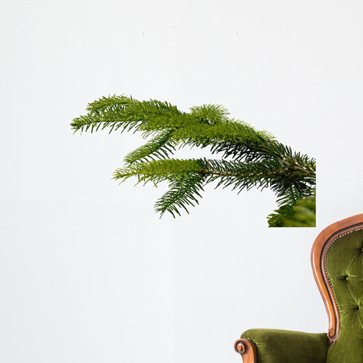 Gazka Twig Wall Decal