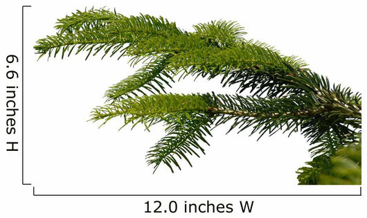 Gazka Twig Wall Decal