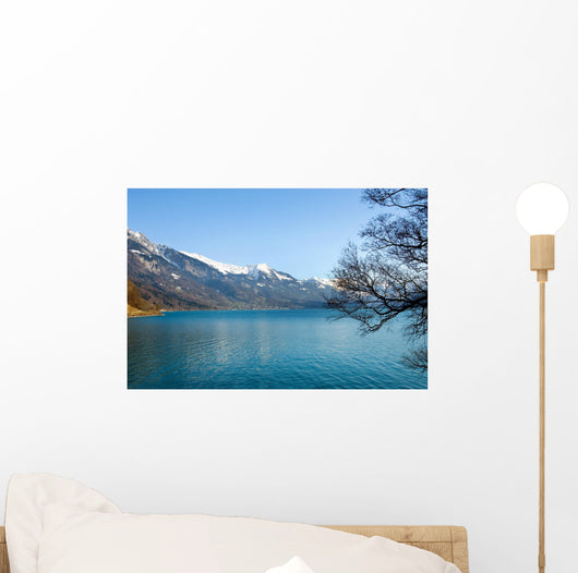 Scenic View Wall Mural
