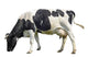 Grazing Cow Wall Decal