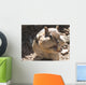 Chubby Cheeks Wall Mural