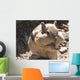 Chubby Cheeks Wall Mural