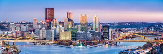 Pittsburgh Pennsylvania Skyline Dusk Wall Decal