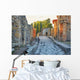 Ancient Ruins Pompeii Italy Wall Decal