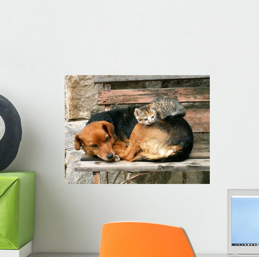 Cat and Dog Friends Wall Decal