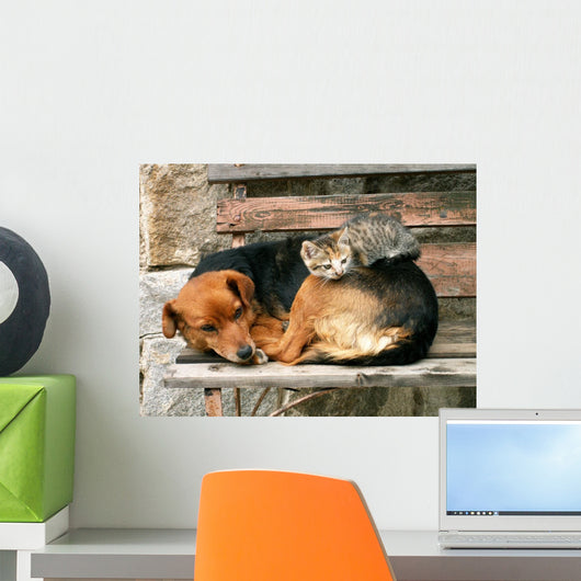 Cat and Dog Friends Wall Decal