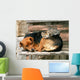 Cat and Dog Friends Wall Decal