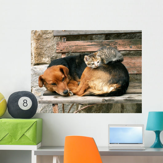 Cat and Dog Friends Wall Decal