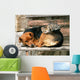 Cat and Dog Friends Wall Decal