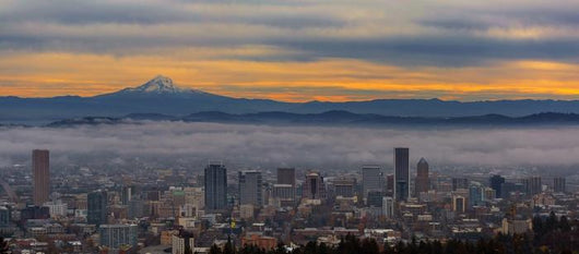 Portland Oregon Cityscape Wall Decal