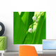 lily of the valley Wall Mural