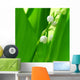 lily of the valley Wall Mural