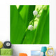 lily of the valley Wall Mural