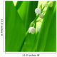 lily of the valley Wall Mural