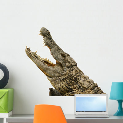 Alligator Wall Decal shown on a wall