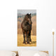 Frisian 3 Wall Mural