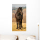 Frisian 3 Wall Mural