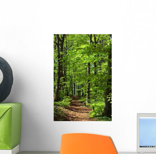 Waldweg Wall Decal