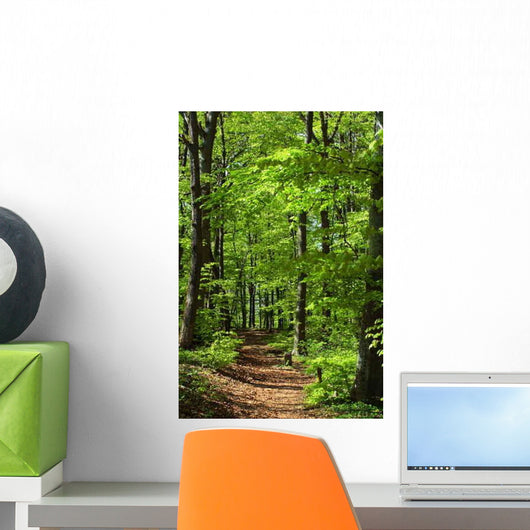 Waldweg Wall Decal