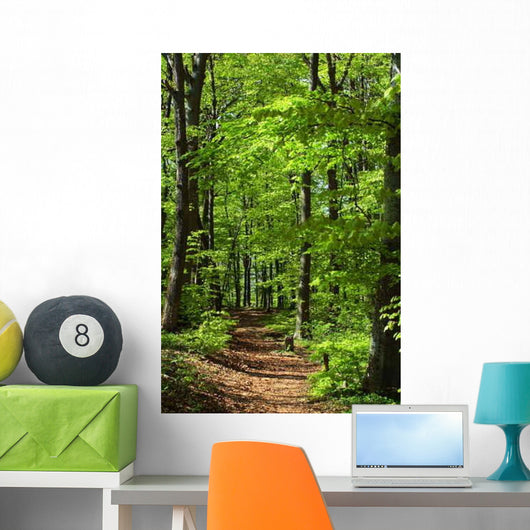 Waldweg Wall Decal