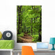 Waldweg Wall Decal