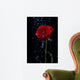 Rose in the Dew Drops on Black Wall Mural