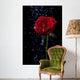 Rose in the Dew Drops on Black Wall Mural