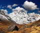Annapurna South Wall Decal