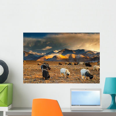 Grazing Sheep and Goats Wall Decal shown on a wall