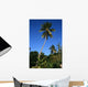 Palm Wall Mural